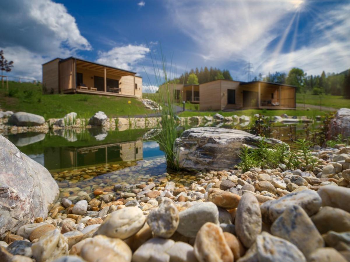 Wiesenquartier I Chalet I Adults Only Langenwang Εξωτερικό φωτογραφία