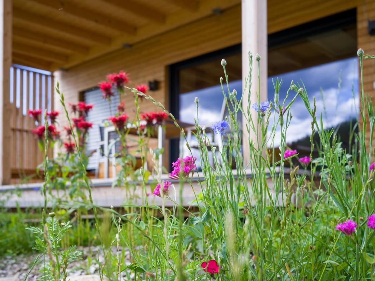 Wiesenquartier I Chalet I Adults Only Langenwang Εξωτερικό φωτογραφία