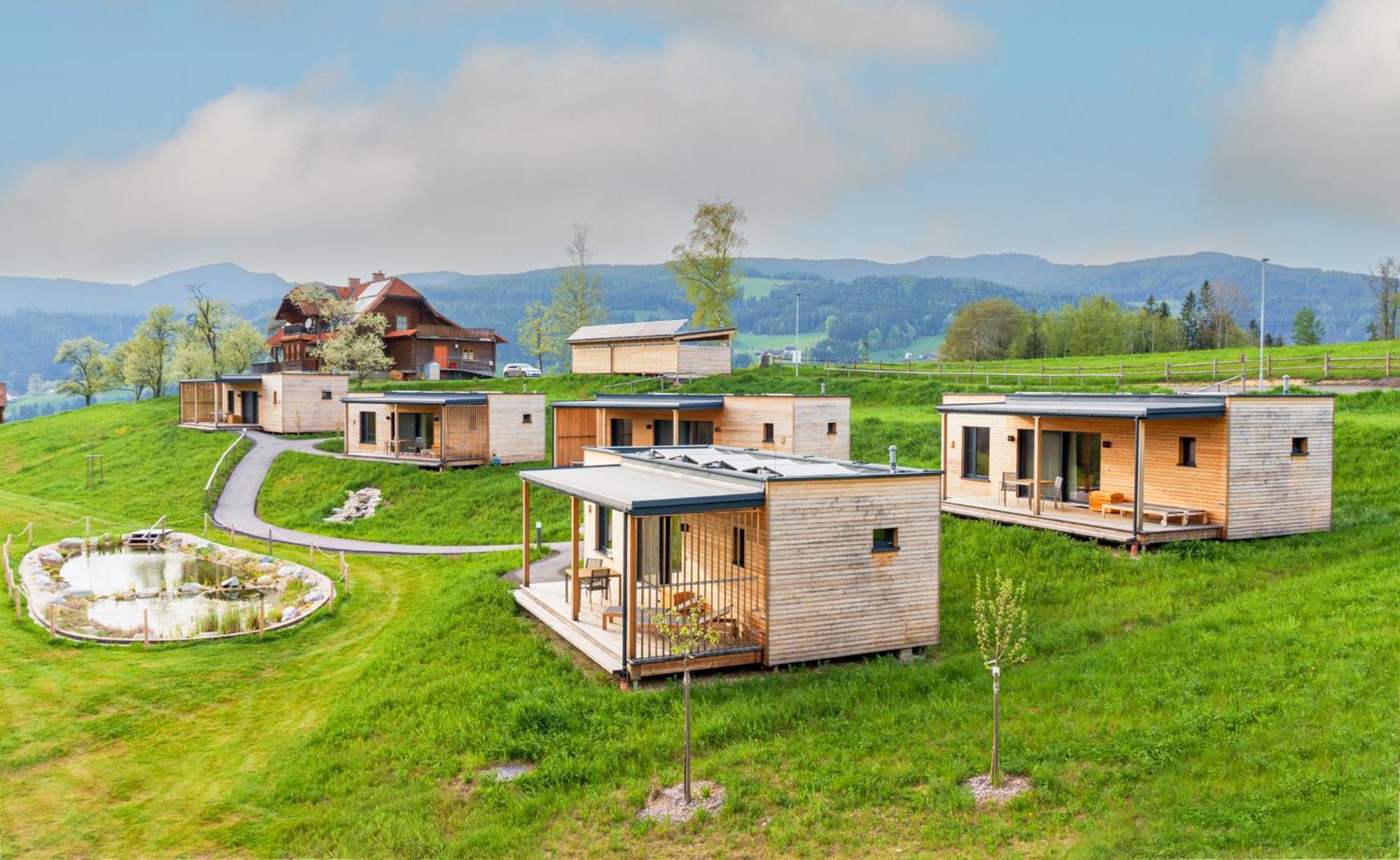 Wiesenquartier I Chalet I Adults Only Langenwang Εξωτερικό φωτογραφία